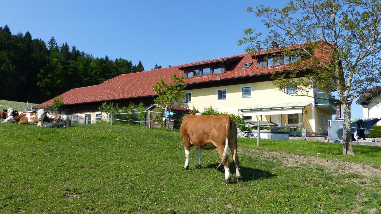 Ferienwohnung Steger Mattsee Exteriér fotografie